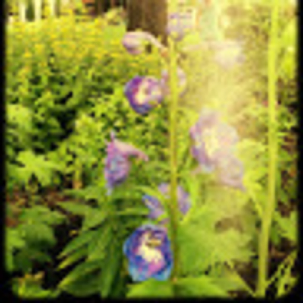 Meet your Posher, Lynn